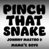 JOHNNY MASTRO & MAMA'S BOYS: Pinch That Snake