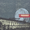 THE MAMMALS: Departure