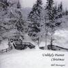 BILL MANAGAN: Unlikely Pianist Christmas