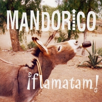 MANDORICO: Flamatam
