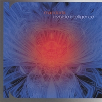 mandorla : invisible intelligence