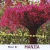 Manjia Luo - Manjia Music: Season