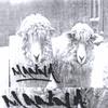 MANNA: Its a war