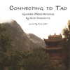 RICH MARANTZ / RICH SALZ: Connecting to Tao