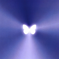 Marc Béziat : Victory of the Spirit