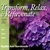 VANDITA KATE MARCHESIELLO: Transform, Relax, & Rejuvenate