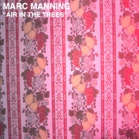 Marc Manning : Air In The Trees