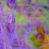 Marco Giaccaria: Solo Un Flauto, Ma Non Solo.