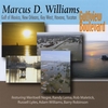 MARCUS D. WILLIAMS: Gulfview Boulevard