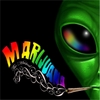 Collin Ozcan: Marijuana: The Musical