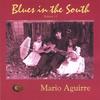 MARIO AGUIRRE: Blues in the South