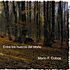 Mario F. Cobos: Entre los huecos del otoño