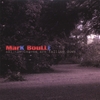 MARK BOULLE: All the leaves are falling down