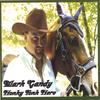 MARK GANDY: Honky Tonk Hero