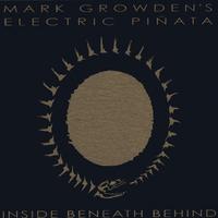 Mark Growden's Electric Piñata : Inside - Beneath - Behind / LIMITED EDITION