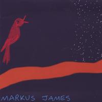 Markus James : Nightbird