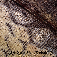 Markus James : Snakeskin Violin