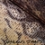 MARKUS JAMES: Snakeskin Violin