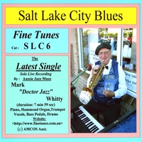 Mark Whitty : Salt Lake City Blues