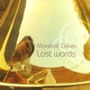 MARSHALL GILKES: Lost Words