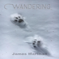 James Marshall : Wandering
