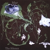 MAR: The Silence