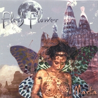 Marta Wiley : Flesh Flower