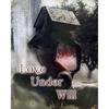 MARTA G. WILEY: Love Under Will