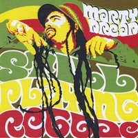 Marty Dread : Still Playing Reggae