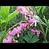 Mary Ann DeLorey: Hidden Treasures
