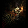 Masque Musicart: Paper Dragons