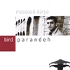 MASSOUD DARYA: Bird