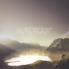 MATADOR: Split Album 2008