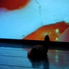 CHRISTIAN MATJIAS: Other Dances, Other Dancers
