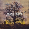 MATT COTE: Land Of No Shadows