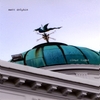 Matt Dolphin: Clear Light
