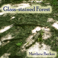 Matthew Becker : Glass-stained Forest