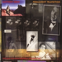 Matthew Greif : Permanent Transition