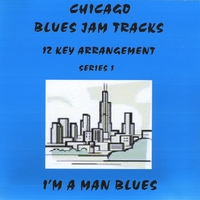 Matthews and Maz : Chicago Blues Jam Tracks, Im A Man
