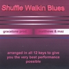 EDDIE MATTHEWS AND MAZ: Blues Backing Tracks