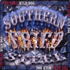 THE REAL WILD DOG FATT MATT MCCOURT: SOUTHERN FRIED STEEL