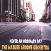 THE MATURE GROOVE ORCHESTRA: Never An Ordinary Day