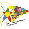 Mark Austin Solo Project: Multidimensional