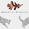 ANDREA MAXAND: Where the Words Go