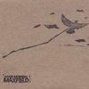 GOOD MORNING MAXFIELD: 2008 Singles