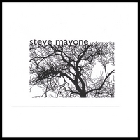 Steve Mayone : Understories