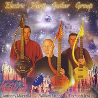 Anthony Mazzella : Electric Harp Guitar Group