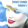 MARY MCGRATH/ OMAR NASR: Luxury Lounge-Volume 1