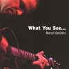 MARCEL DESILETS: What You See...