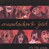 MEADOWLARK JIVIN': It's the Groove